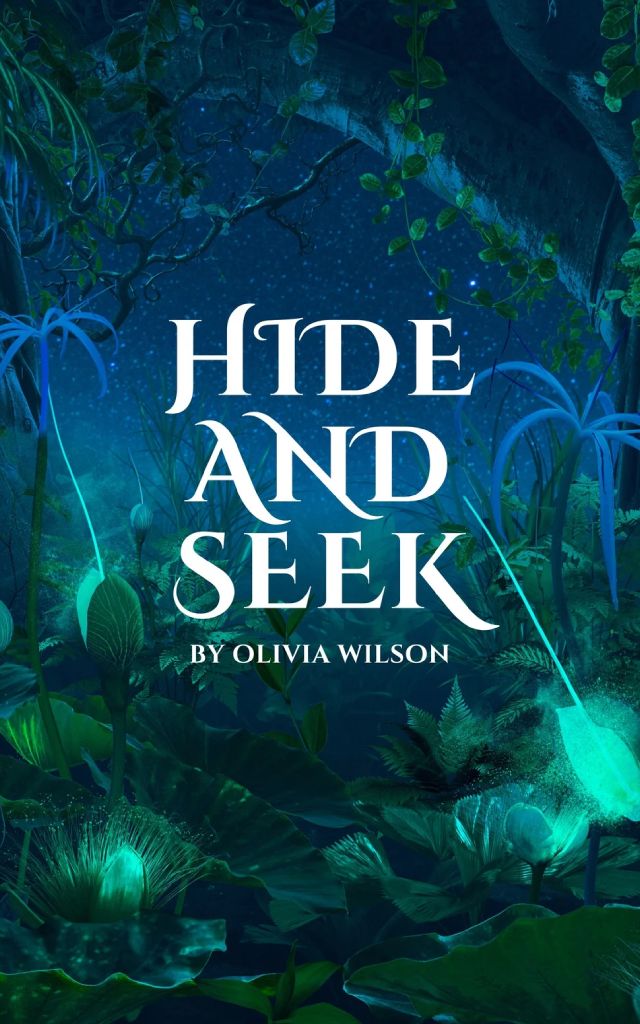 Hide and Seek